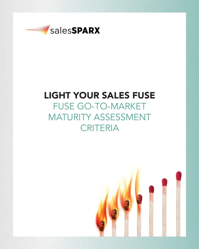 GTM-Maturity-Assessment-criteria